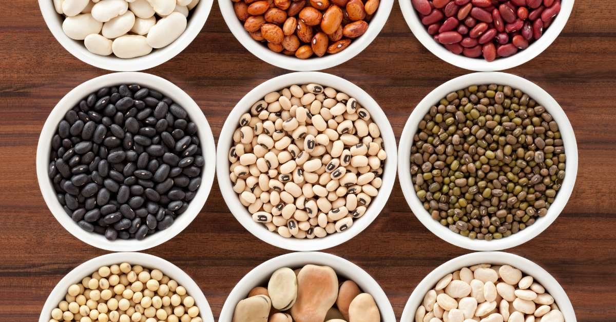 Beans