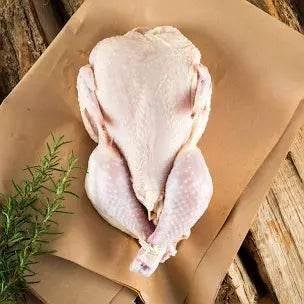 Turkey Chicken 1200g – 七面鳥チキン 1200g｜ハラール認証済み - Premium Halal Food Product
