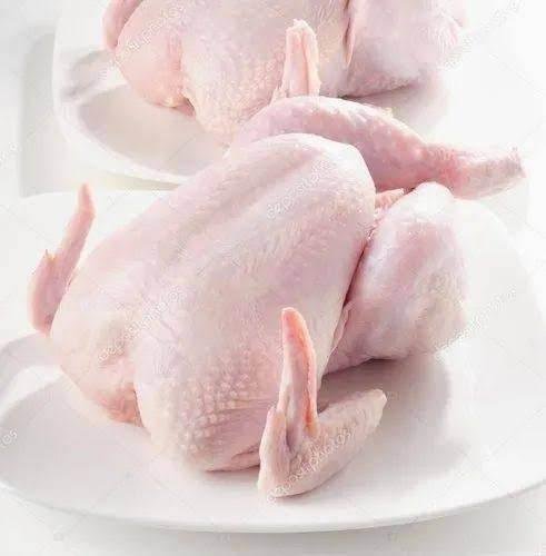 Whole Chicken 900g Turkey – 七面鳥産 丸鶏｜ハラール認証済み - Premium Halal Food Product