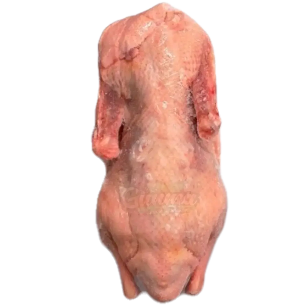 Halal Whole Duck 1.6kg – Thailand Import | タイ産ハラールダック（1.6kg） - Premium Halal Food Product