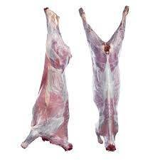 Halal Whole Mutton Carcass 16-19kg – Premium Quality｜高品質ハラールマトン丸肉 - Premium Halal Food Product