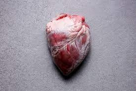 Halal Mutton Heart 1kg – Nutritious & Tender｜ハラールマトンハート - Premium Halal Food Product