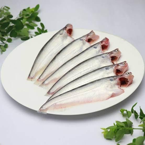 Pabda Fish 500g – Soft & Delicate Bengali Favorite｜パブダ魚500g（やわらかくて淡白な人気の川魚） - Premium Halal Food Product