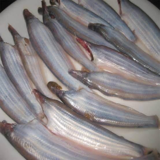Kajoli Frozen Fish 200g – Fresh Halal Frozen Fish｜カジョリ冷凍魚 200g（新鮮ハラール冷凍魚） - Premium Halal Food Product