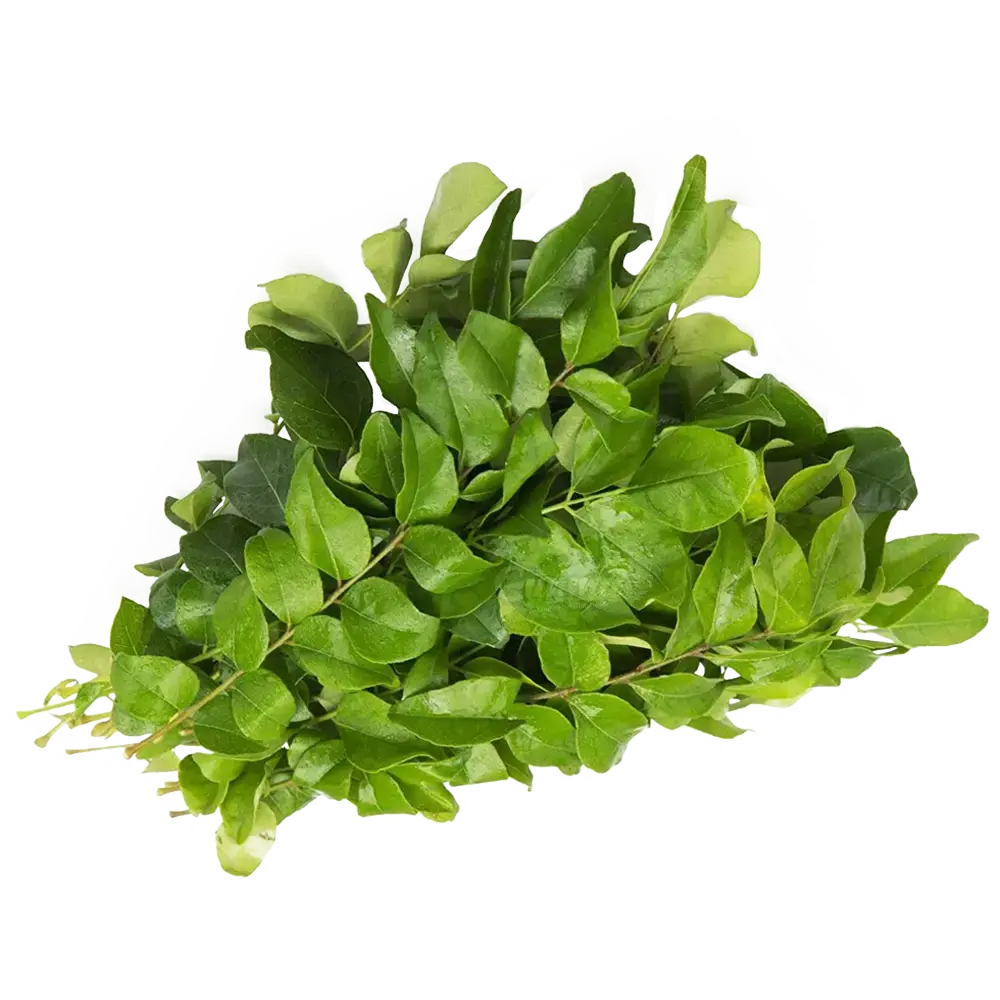 Frozen Curry Leaves (Kadhipatta) 100g – Authentic South Asian Flavor | 冷凍カレーリーフ 100g – 本格的な南アジアの香り - Related product image