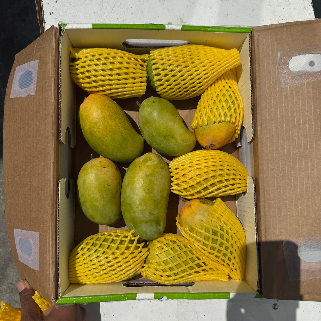 Indian Kesar Mango 2.5kg Crate | インド産ケサールマンゴー 2.5kg（箱入り） - Premium Halal Food Product