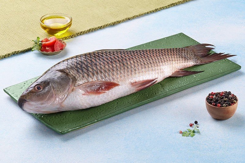 Whole Ruhi Fish | South Asian Grocery Japan ハラール対応 新鮮なルイ魚丸ごと（3kg以上） - Premium Halal Food Product