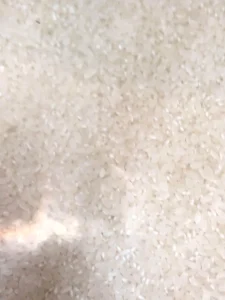 Al Modina Japanese Rice 10kg – Authentic Short Grain Rice for Sushi & Daily Use | アルモディナ 日本産米 10kg - Additional product view