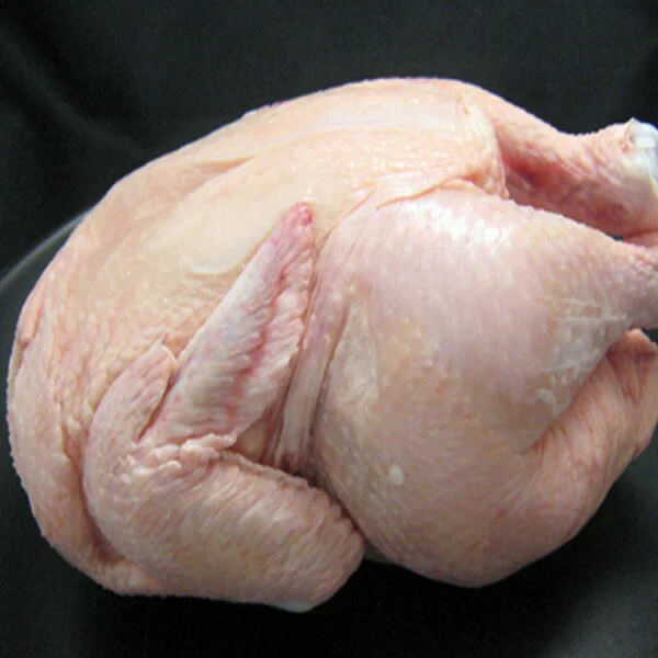 Halal Whole Chicken – Japan Processed (2.4kg)｜国産ハラール丸鶏 - Additional product view