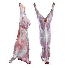 Halal Whole Mutton Carcass 16kg – Premium Quality|高品質ハラールマトン丸肉 - Premium Halal Food Product