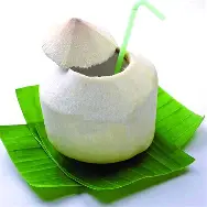 Fresh Coconut | 新鮮なココナッツ - Premium Halal Food Product