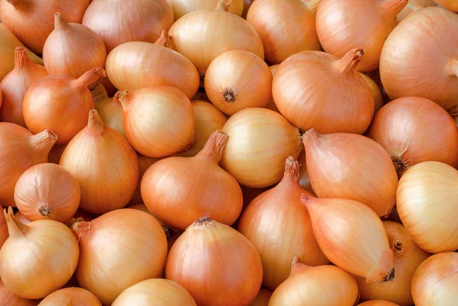 Fresh Onion 1kg 新鮮玉ねぎ 1kg | 南アジア食材 日本 - Premium Halal Food Product