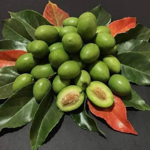 Olive Frozen 300g (Jolpai) 冷凍オリーブ 300g（ジョルパイ） | 南アジア食材 日本 - Premium Halal Food Product