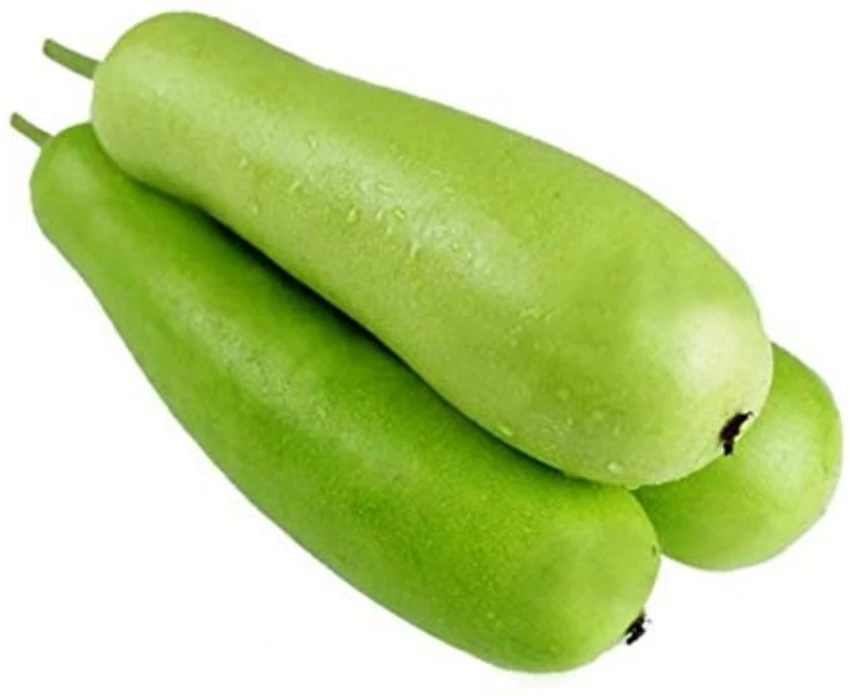 Fresh Lau / Gourd 2kg+ 新鮮ロウ／ヒョウタン 2kg以上 | 南アジア食材 日本 - Premium Halal Food Product