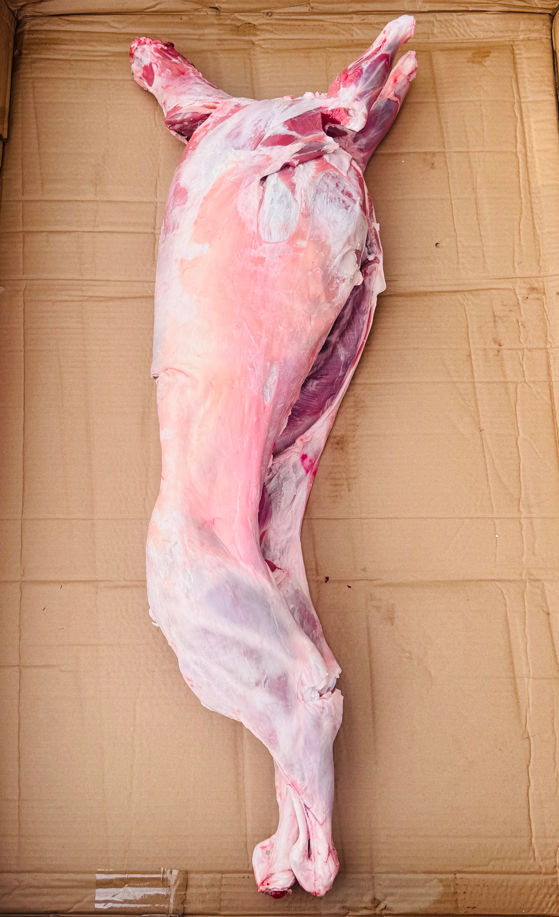 Fresh Whole Lamb From Australia 1kg Non-Frozen オーストラリア産新鮮なラム肉（丸ごと1頭）1kg（冷凍ではありません） - Premium Halal Food at Tabe Halal